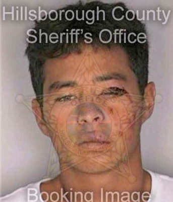 Leung Kevin - Hillsborough County, FL 