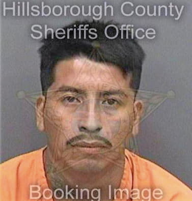 Fierromacario Marcelo - Hillsborough County, FL 