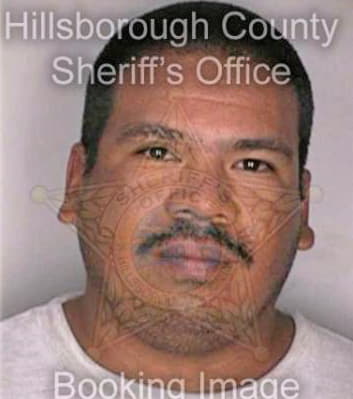 Melendez Rolando - Hillsborough County, FL 