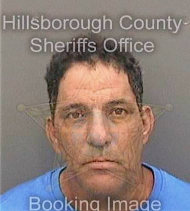 Vega Daniel - Hillsborough County, FL 