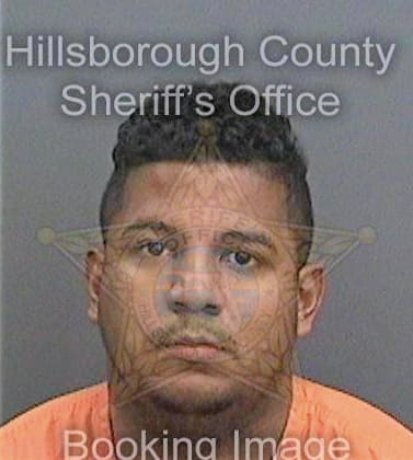 Gonzalez Jonathan - Hillsborough County, FL 