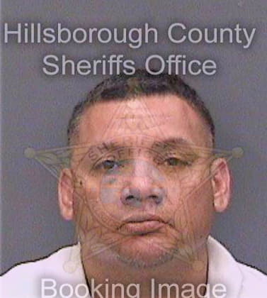 Gaona Jose - Hillsborough County, FL 