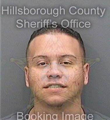 Vega Brian - Hillsborough County, FL 