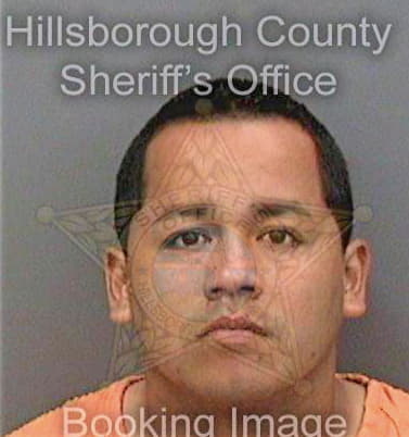 Mendezhernandez Oscar - Hillsborough County, FL 