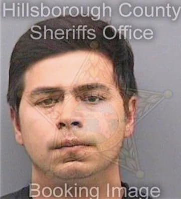 Salas Samuel - Hillsborough County, FL 