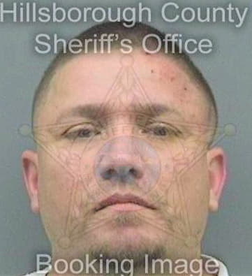 Diazsantiago Joseph - Hillsborough County, FL 