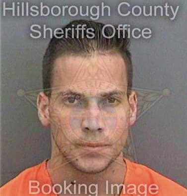 Mesadiaz Andy - Hillsborough County, FL 