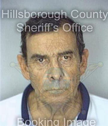 Dedrel James - Hillsborough County, FL 