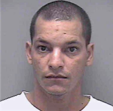 Hernandez Jesus - Lee County, FL 