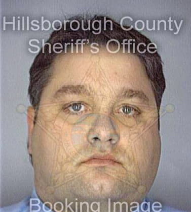 Danko David - Hillsborough County, FL 