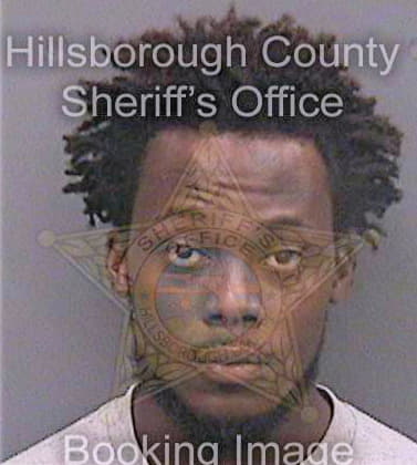 Nelson Johnathan - Hillsborough County, FL 