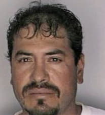 Melgozamontejano Arturo - Hillsborough County, FL 