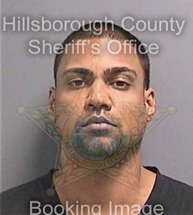 Sharma Giresh - Hillsborough County, FL 