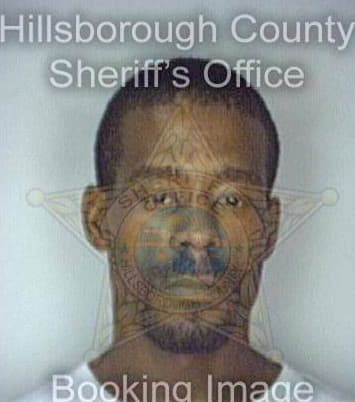 Merrill Alan - Hillsborough County, FL 