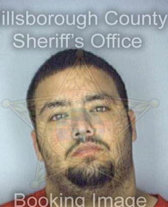 Diaz Gilberto - Hillsborough County, FL 