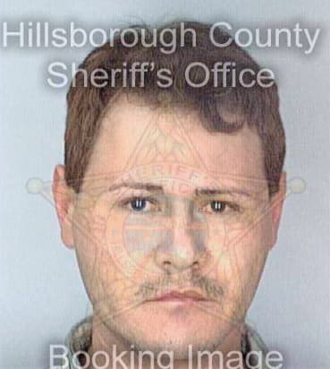 Osegueraespinosa Pablo - Hillsborough County, FL 