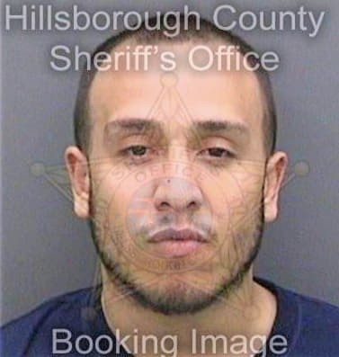 Matos Robert - Hillsborough County, FL 