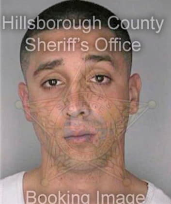 Otero Reynaldo - Hillsborough County, FL 