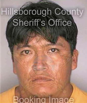 Mejia Carlos - Hillsborough County, FL 