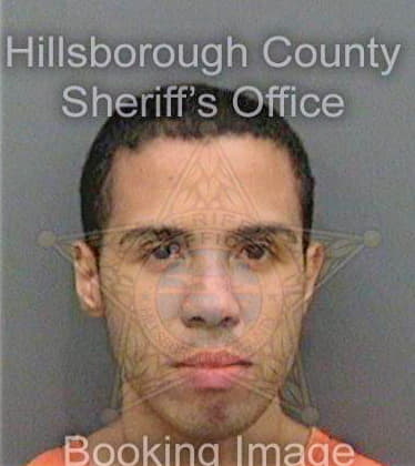 Delgado Jesus - Hillsborough County, FL 