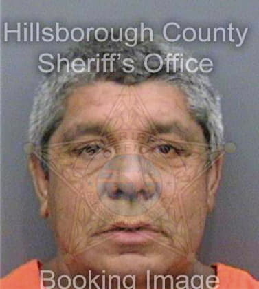 Ramirez Rolando - Hillsborough County, FL 