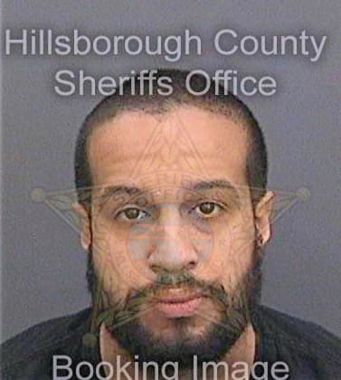 Tolliver David - Hillsborough County, FL 