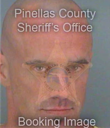 Bingold Patrick - Pinellas County, FL 