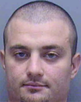 Stinnett Michael - Lee County, FL 