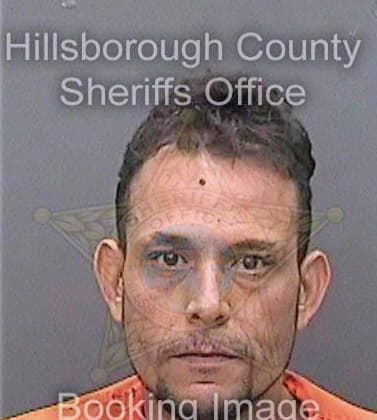 Cepero Nestor - Hillsborough County, FL 