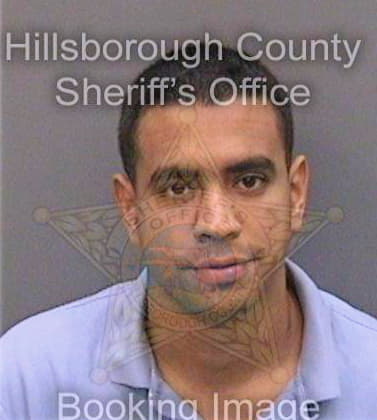 Mejia Leafar - Hillsborough County, FL 