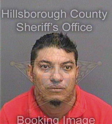 Bonillaizaguirre Olvin - Hillsborough County, FL 