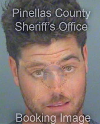 Schoen David - Pinellas County, FL 