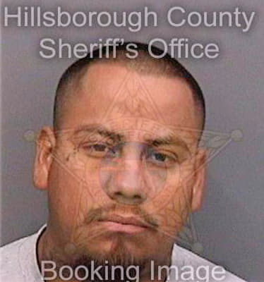 Medina Juan - Hillsborough County, FL 