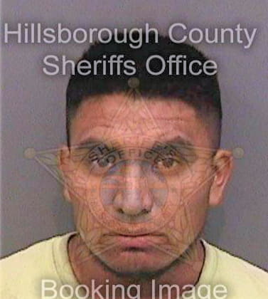 Gomezgomez Mario - Hillsborough County, FL 