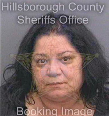 Ortiz Mayra - Hillsborough County, FL 