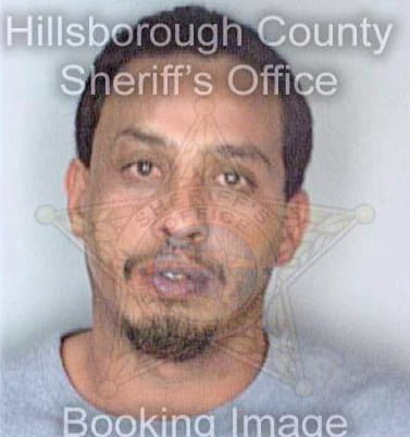 Maldonado Carmelo - Hillsborough County, FL 