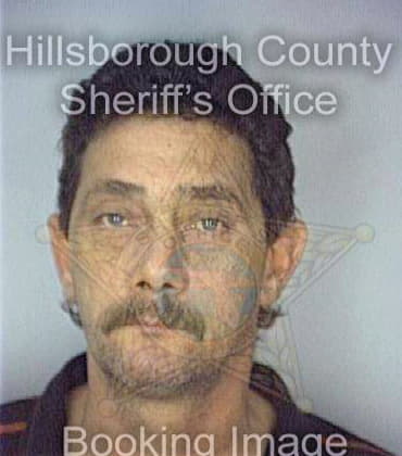 Perez Sergio - Hillsborough County, FL 