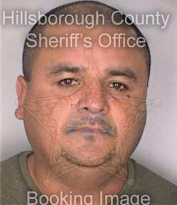 Hernandez Victoiano - Hillsborough County, FL 