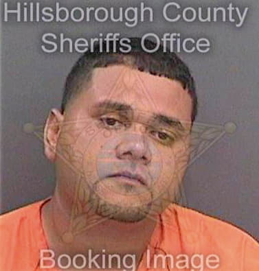 Ortizalvarez Emanuel - Hillsborough County, FL 