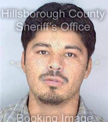 Garcia Juan - Hillsborough County, FL 