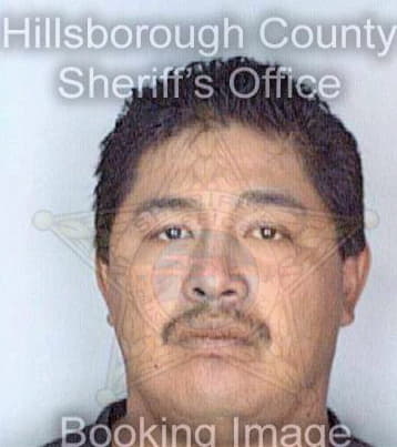 Ramirezoliveros Josue - Hillsborough County, FL 