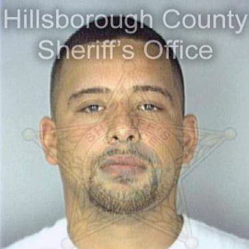 Diaz Roberto - Hillsborough County, FL 