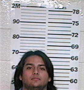 Hernandez Andres - Hidalgo County, TX 