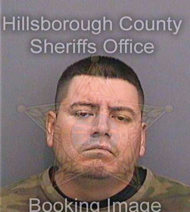 Gaona Daniel - Hillsborough County, FL 