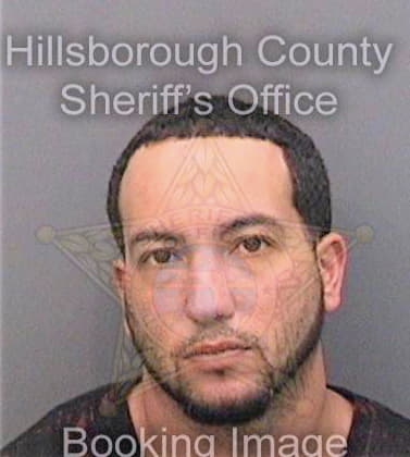 Carmona Angel - Hillsborough County, FL 