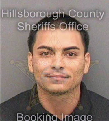 Vega Salvador - Hillsborough County, FL 