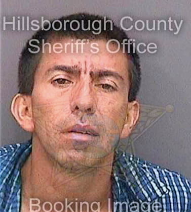 Flores Rigioberto - Hillsborough County, FL 