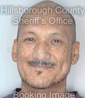 Davila Miguel - Hillsborough County, FL 