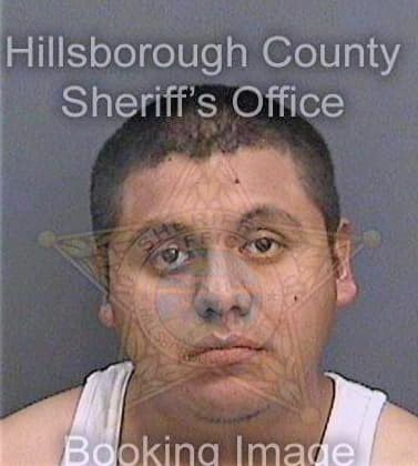 Paz Omar - Hillsborough County, FL 