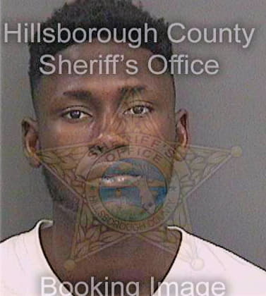 Bakare Ayuba - Hillsborough County, FL 